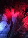 Sveču mežs Sietiņiezī - 12