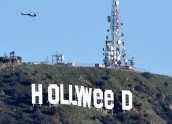 "Hollywood" nomainīts pret "Hollyweed" - 1