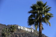 "Hollywood" nomainīts pret "Hollyweed" - 5