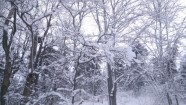 Bolderāja ziemā - 5