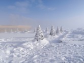 Rundāles pils ziemā - 1