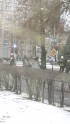 Rīgā automašīna ietriecas kokā un apgāžas