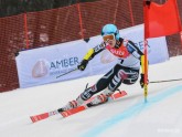 Kalnu slēpošana: Latvijas kauss un FIS sacensībās slalomā  - 9