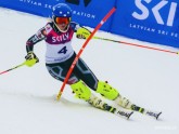 Kalnu slēpošana: Latvijas kauss un FIS sacensībās slalomā  - 12