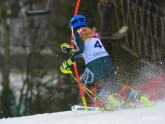 Kalnu slēpošana: Latvijas kauss un FIS sacensībās slalomā  - 19