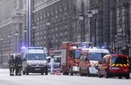 Incidents pie Luvras Parīzē  - 6