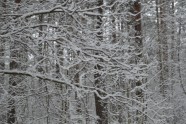 Ziemas prieki Daugavpilī - 3