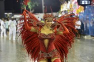 Rio karnevāls - 24