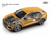 Audi Q8 Sport Concept - 20