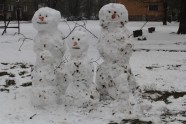 Sniegavīru ģimenes Jelgavā un Maznaukšēnos - 1