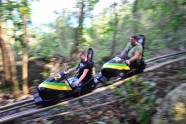 Jamaikas džungļu bobsleja trase - 9