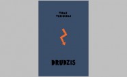 Treibergs_Drudzis