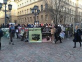 Dzīvnieku tiesību sargi protestā pie Saeimas pieprasīs "cilvēcīgu cirku"