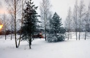 31. marta sniegs Latvijā - 1