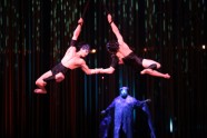 Cirque du Soleil Varekai - 4