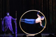 Cirque du Soleil Varekai - 9