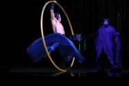 Cirque du Soleil Varekai - 10