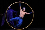 Cirque du Soleil Varekai - 12