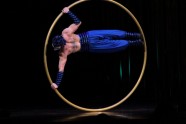 Cirque du Soleil Varekai - 13