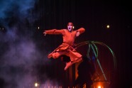 Cirque du Soleil Varekai - 36