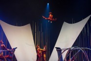 Cirque du Soleil Varekai - 49