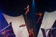 Cirque du Soleil Varekai - 50