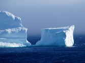 Aisbergs Kanādā - 2
