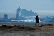Aisbergs Kanādā - 4
