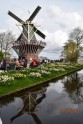 Pavasaris Roterdamā - 20