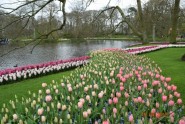 Pavasaris Roterdamā - 26