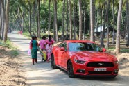 Mustang India