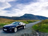Mustang Ireland