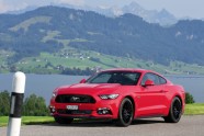 Mustang Switzerland