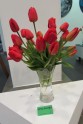 Tulpju ziedu izstāde Liepājā