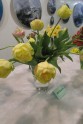 Tulpju ziedu izstāde Liepājā - 13