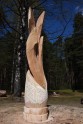 Starptautiskais koka skulptūru festivāls - 7