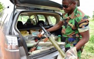 Kotdivuārā sadumpojušies karavīri  - 18