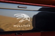 Bentley Bentayga Falconry by Mulliner - 27