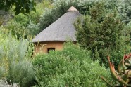Botanic garden in Kirstenbosch