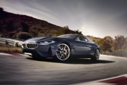 BMW 8. sērijas Concept - 42