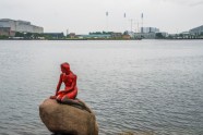 Nāriņa Kopenhāgenā nokrāsota sarkana - 3