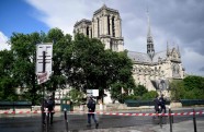 Uzbrukums pie Parīzes Dievmātes katedrāles - 6
