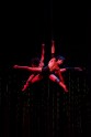 Cirque du Soleil šovs Varekai - 9