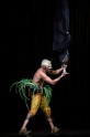 Cirque du Soleil šovs Varekai - 11