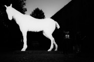 Daugavpils Rotko centra spoku zirgs – atklāšana  - 11