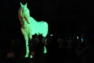 Daugavpils Rotko centra spoku zirgs – atklāšana  - 12