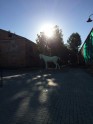 Daugavpils Rotko centra spoku zirgs – atklāšana  - 22