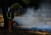 Spānijā meža ugunsgrēka dēļ evakuē 1000 cilvēku - 1