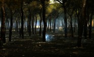 Spānijā meža ugunsgrēka dēļ evakuē 1000 cilvēku - 2