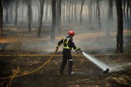 Spānijā meža ugunsgrēka dēļ evakuē 1000 cilvēku - 5